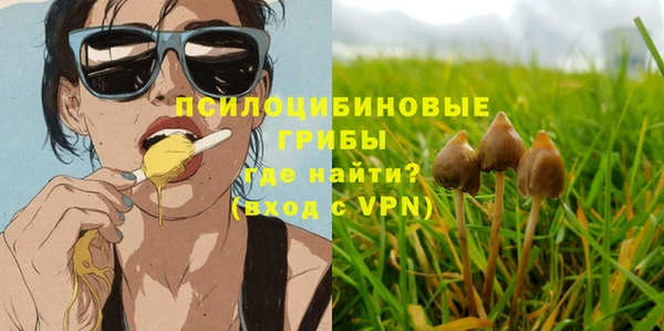 a pvp Майский