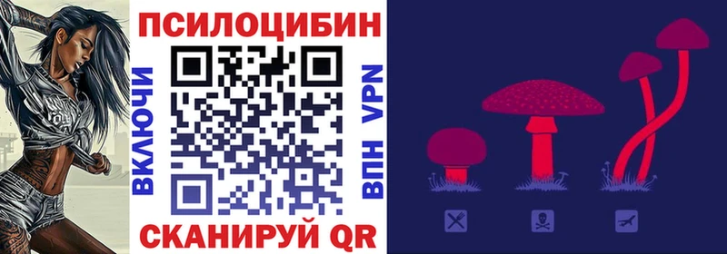 купить   Алзамай  Псилоцибиновые грибы ЛСД 